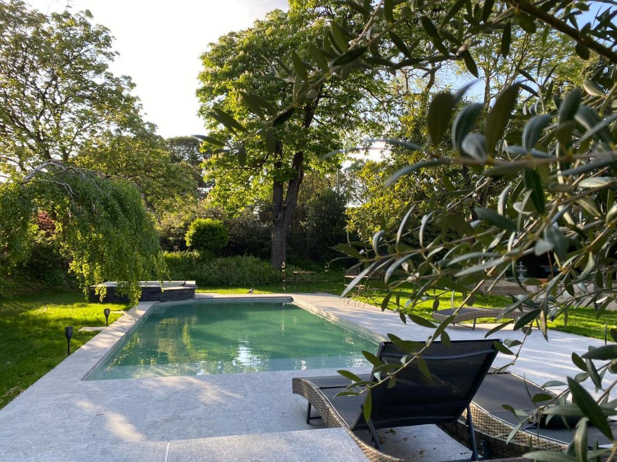 Demeure Saint Louis Historic Manor, City 700M, Parking,A C,Clim,Wifi, Heated Pool, City View 卡尔卡松 外观 照片